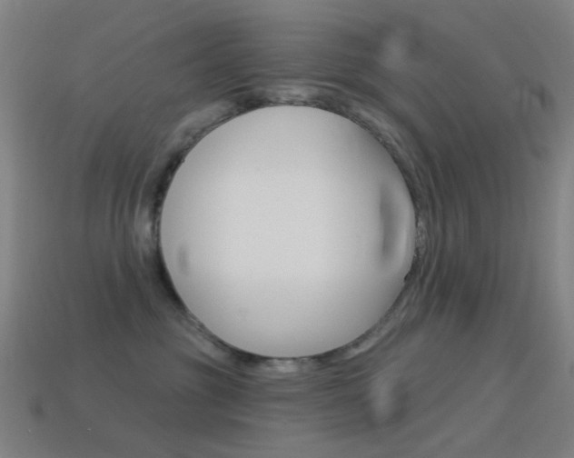 X0000114530381200910191015
