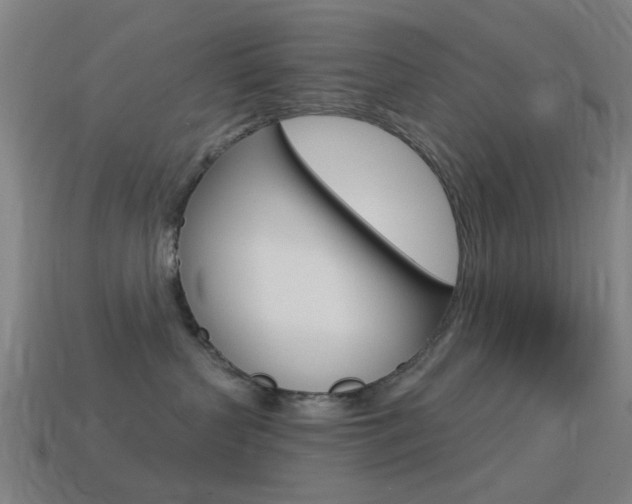 X0000114530383200910191015