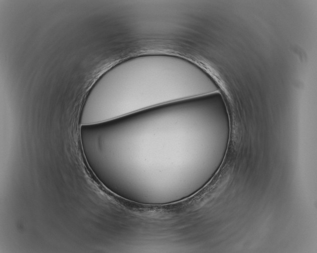 X0000114530385200910191014