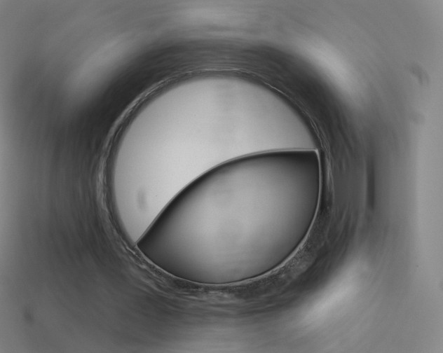 X0000114530387200910191014