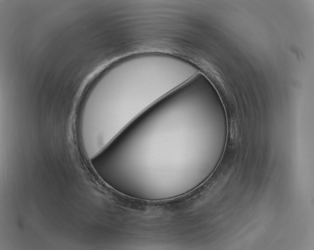 X0000114530388200910191014