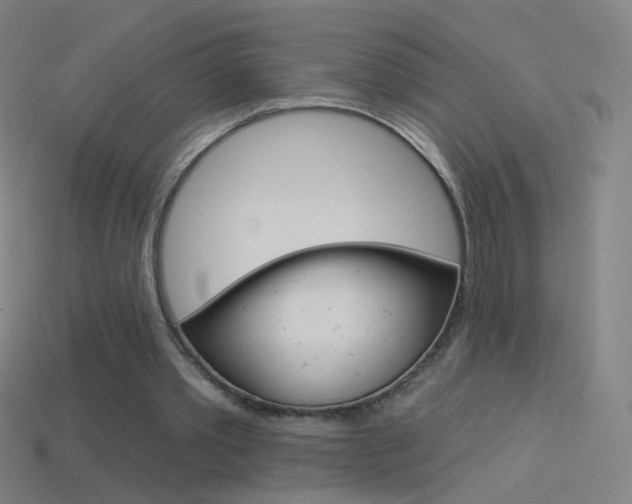 X0000114530389200910191014