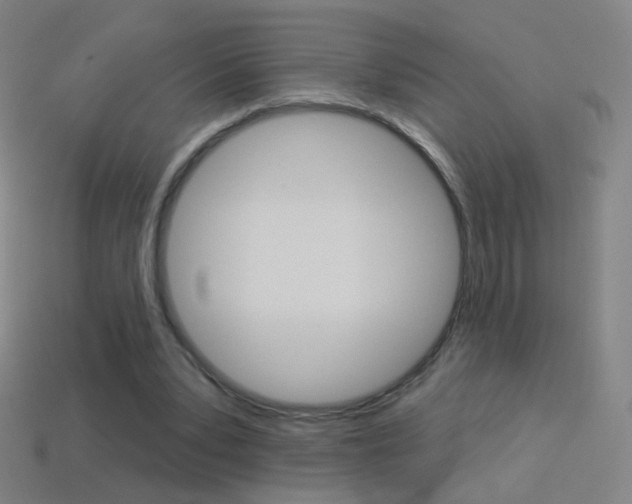 X0000114530391200910191014