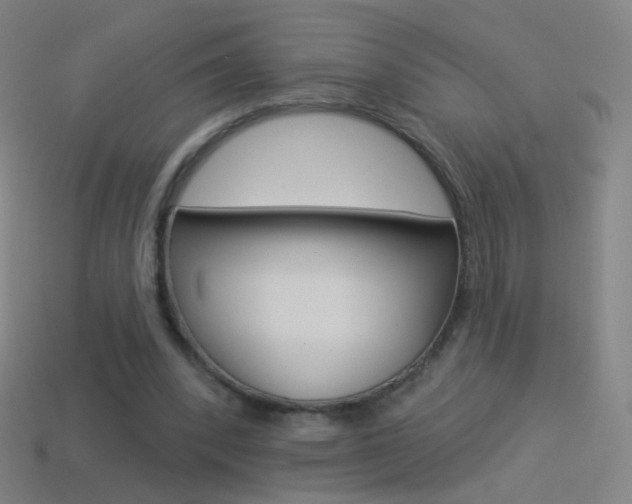 X0000114530392200910191014