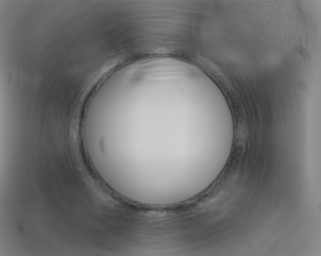 X0000114530394200910191014