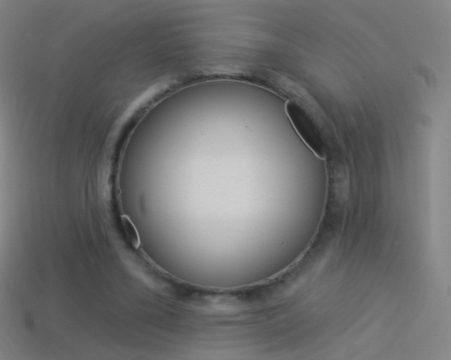 X0000114530395200910191014