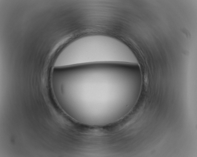 X0000114530396200910191014