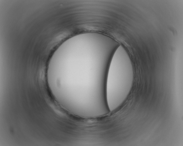 X0000114530398200910191014