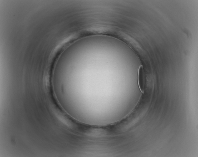 X0000114530399200910191014
