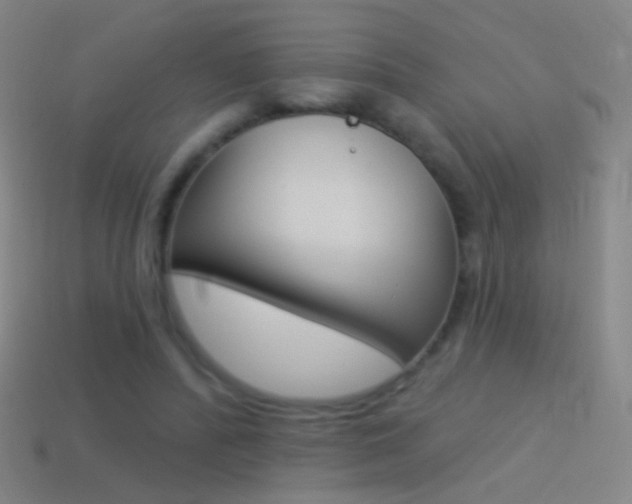 X0000114530400200910191014