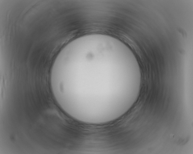 X0000114530401200910191014