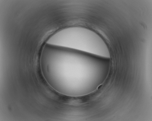 X0000114530403200910191014