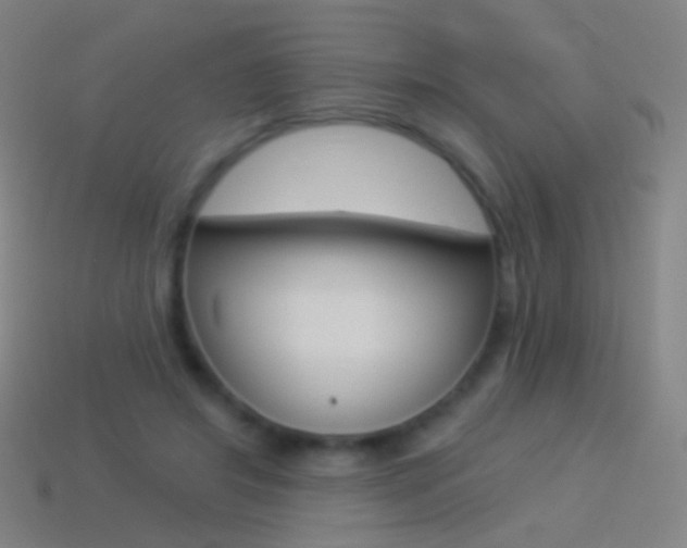 X0000114530404200910191014