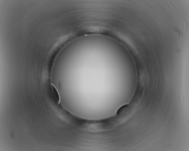 X0000114530407200910191014