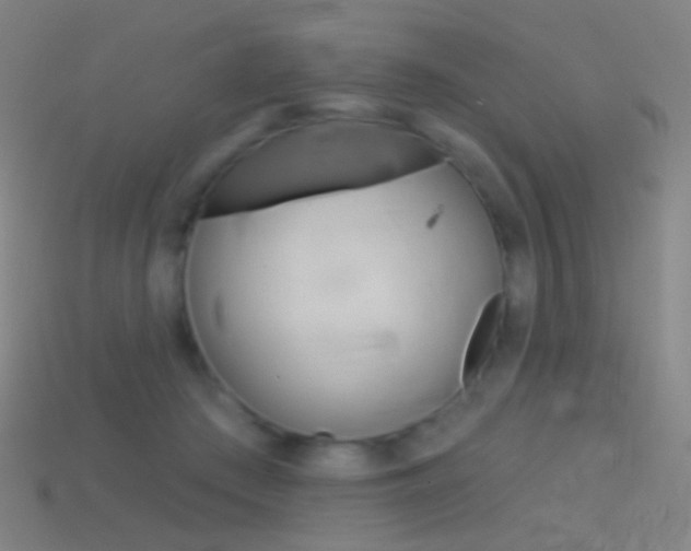 X0000114530409200910191014