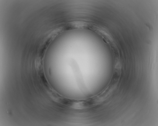 X0000114530411200910191014