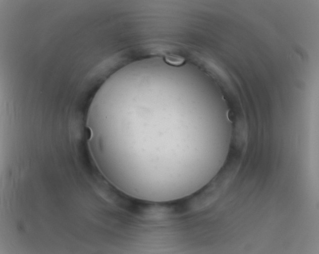 X0000114530413200910191014