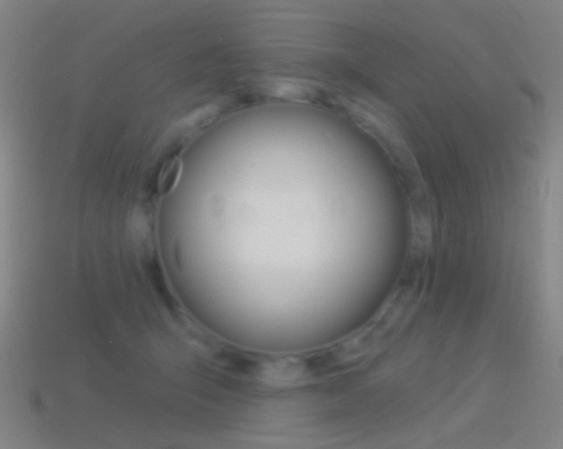 X0000114530415200910191014