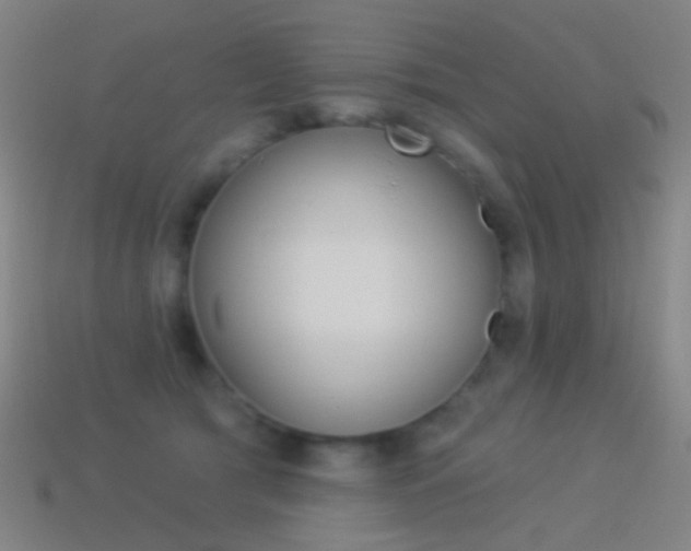 X0000114530417200910191014