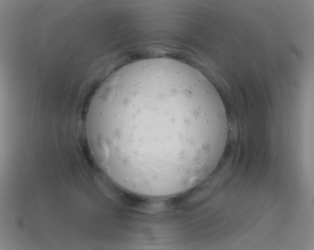 X0000114530418200910191014