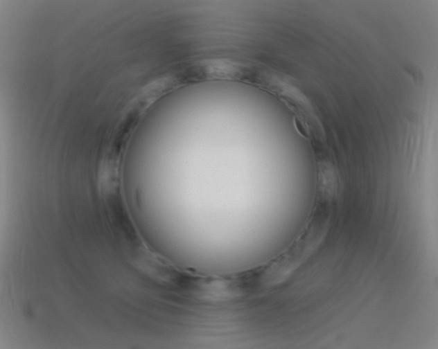 X0000114530419200910191014