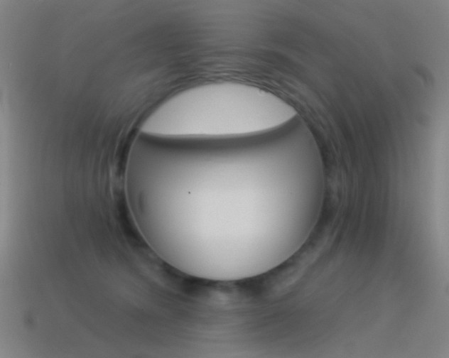 X0000114530420200910191014