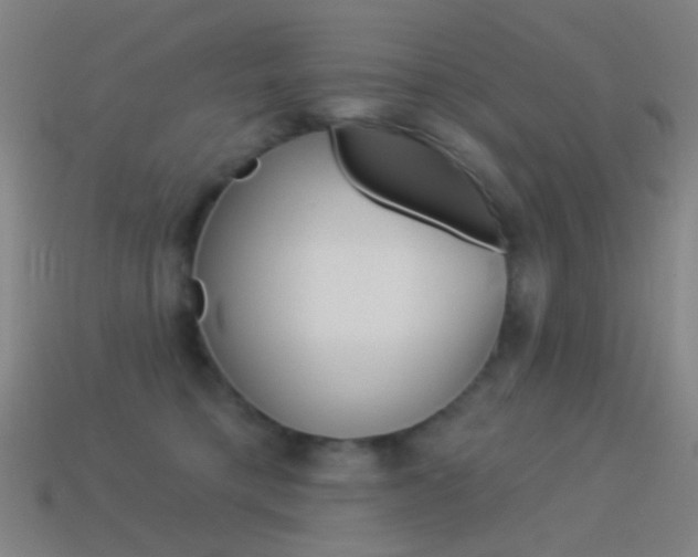 X0000114530421200910191014
