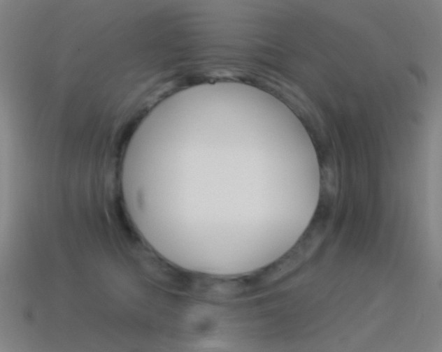 X0000114530422200910191014