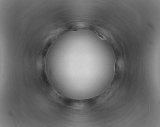 X0000114530423200910191014