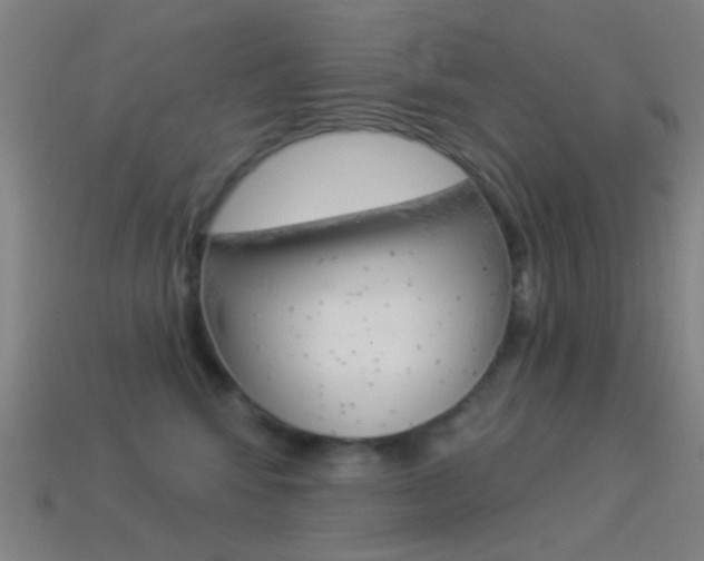 X0000114530424200910191014