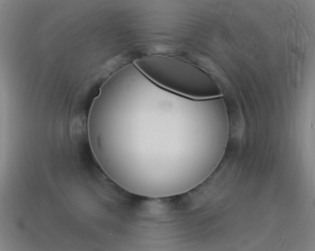 X0000114530425200910191014