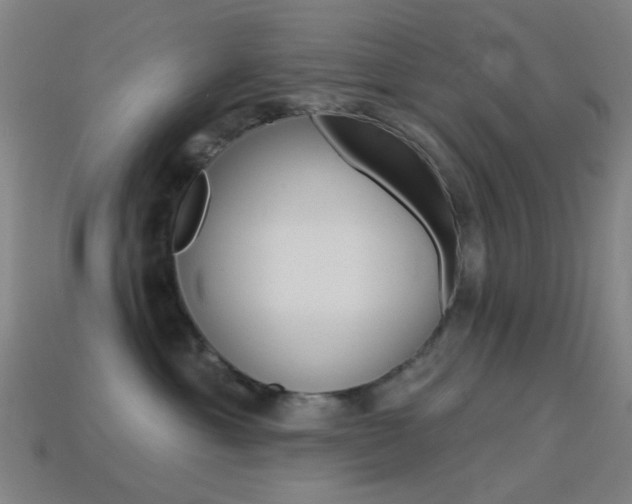 X0000114530429200910191014