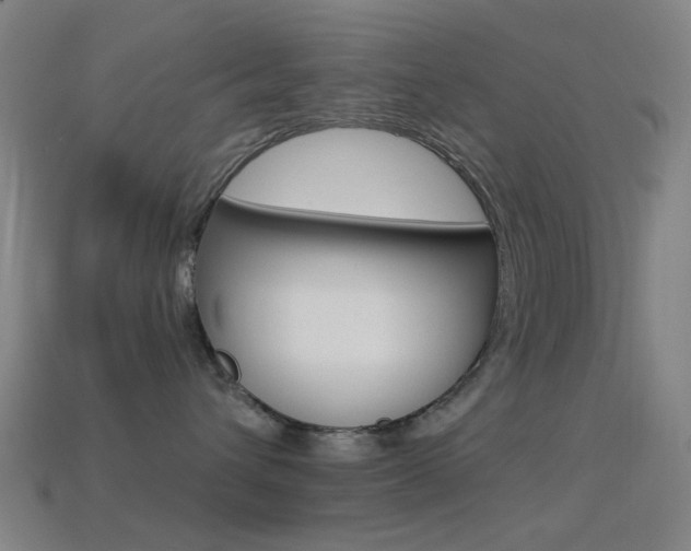 X0000114530432200910191014
