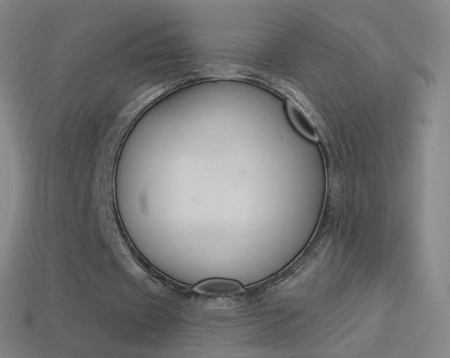 X0000114530433200910191013