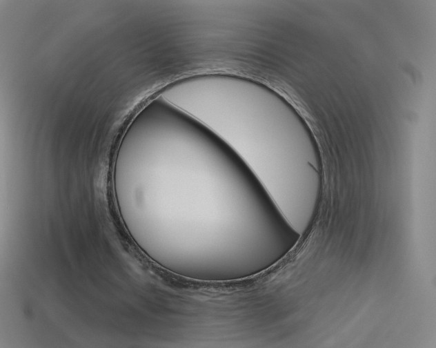 X0000114530434200910191013
