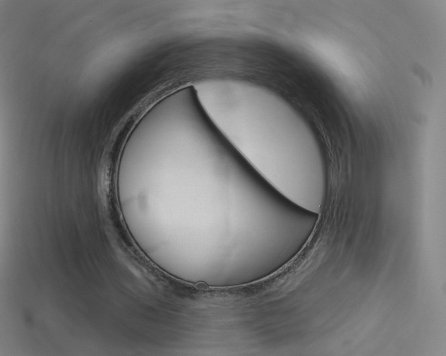 X0000114530435200910191013