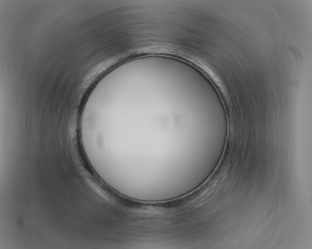 X0000114530437200910191013