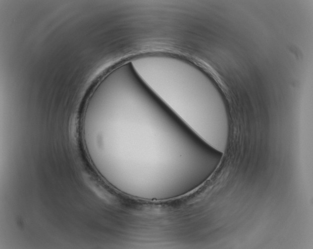 X0000114530439200910191013