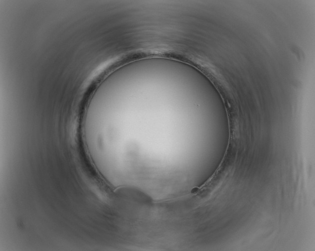 X0000114530440200910191013