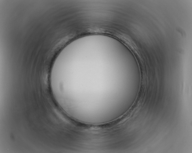 X0000114530441200910191013