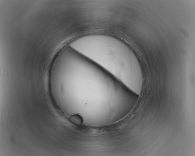 X0000114530442200910191013