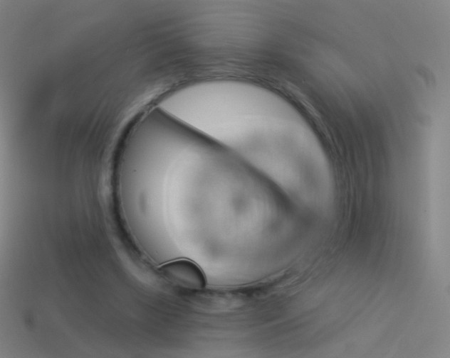 X0000114530443200910191013