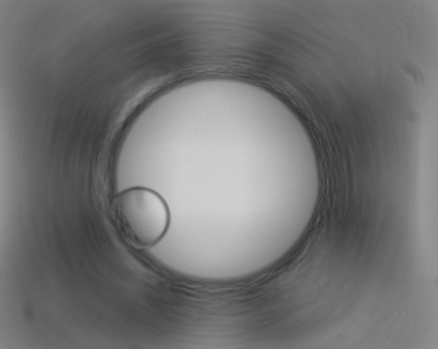 X0000114530444200910191013