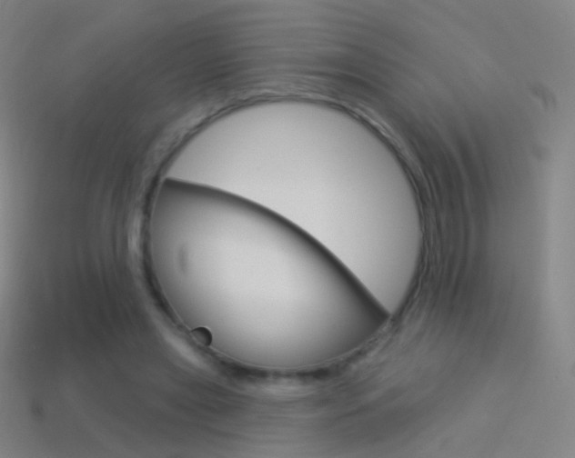 X0000114530445200910191013