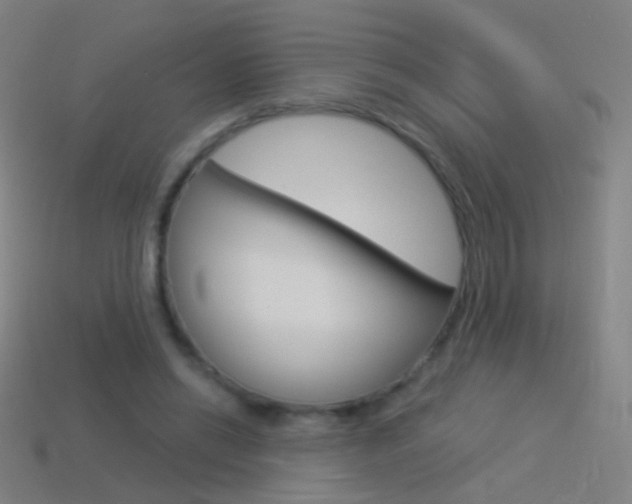 X0000114530446200910191013