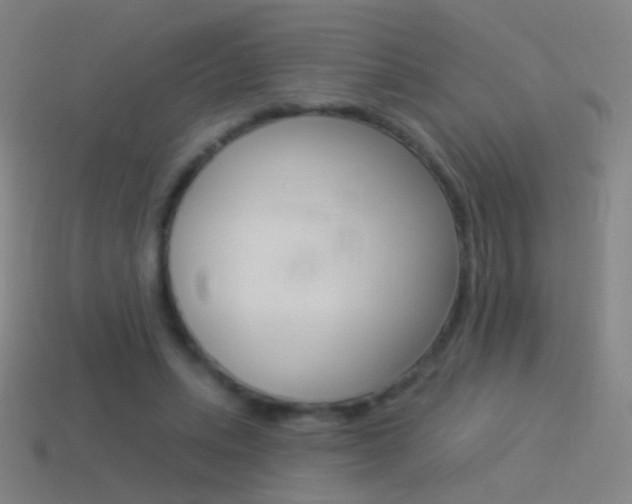 X0000114530447200910191013