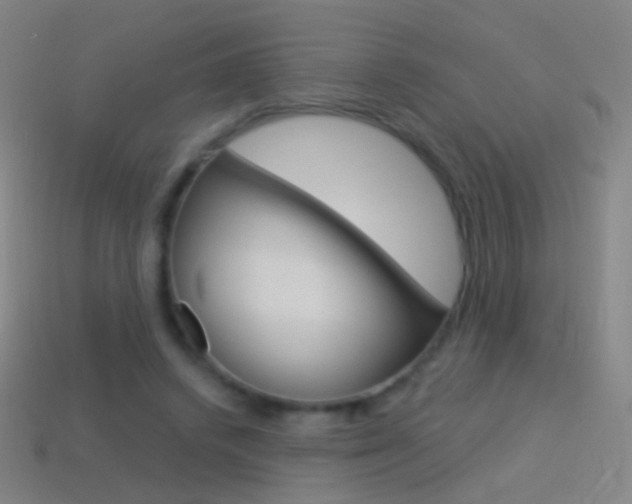 X0000114530448200910191013