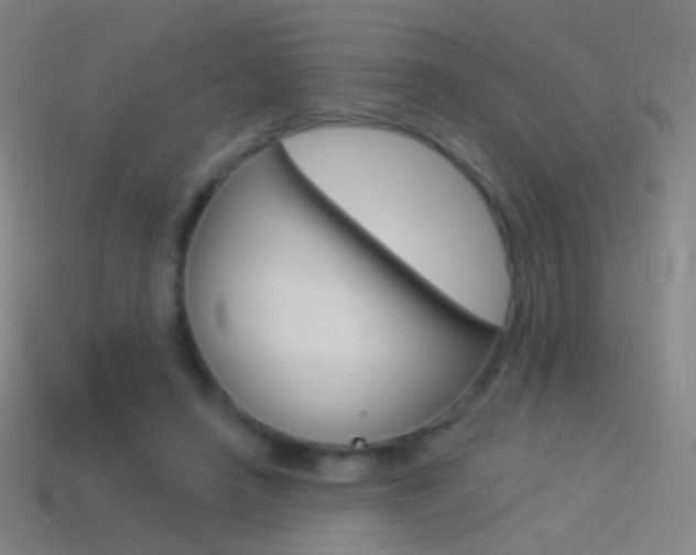 X0000114530450200910191013