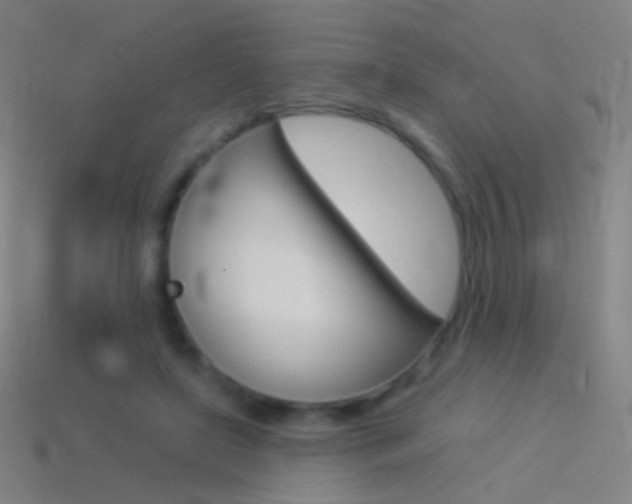 X0000114530451200910191013