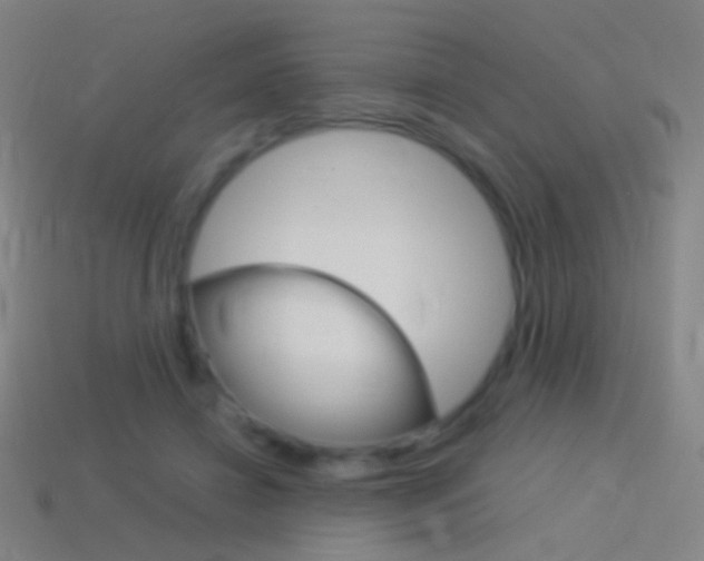 X0000114530452200910191013
